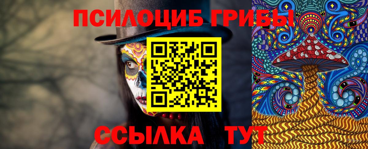 Галлюциногенные грибы мицелий  Псилоцибиновые грибы Psilocybe  Вход с VPN  Тамбов 